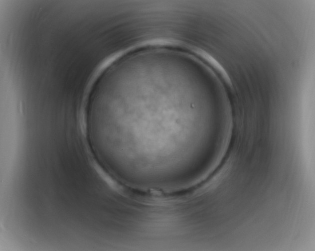 X0000113900935200910011340