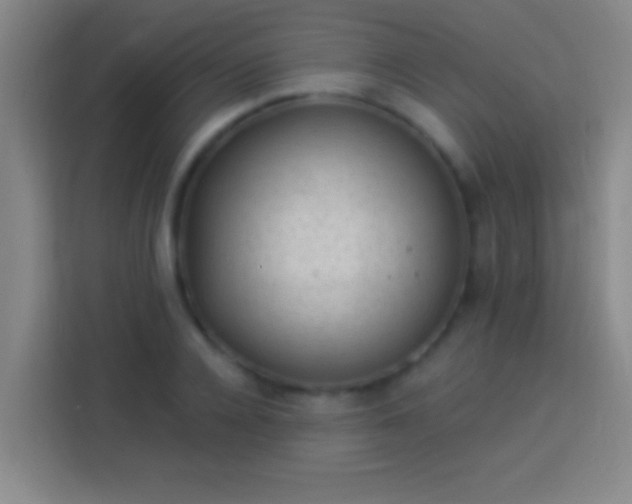 X0000113900936200910011340