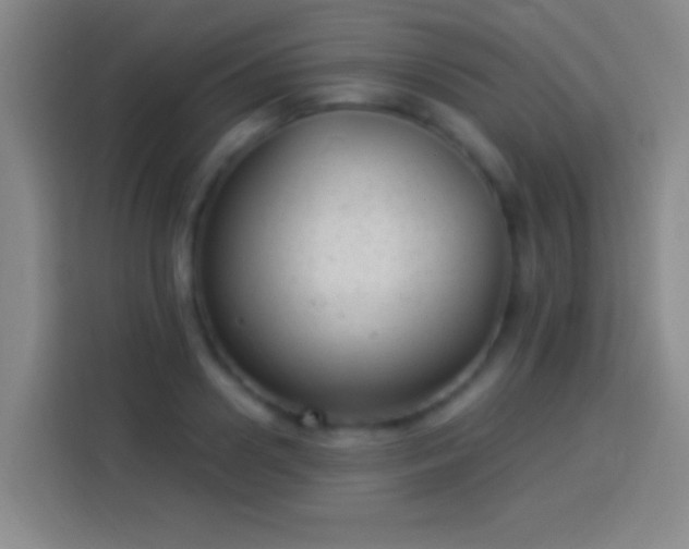 X0000113900938200910011340