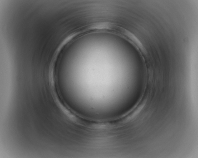 X0000113900939200910011340