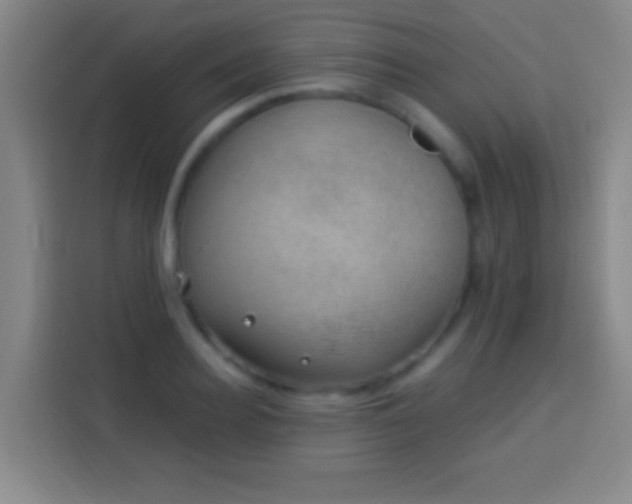 X0000113900940200910011340