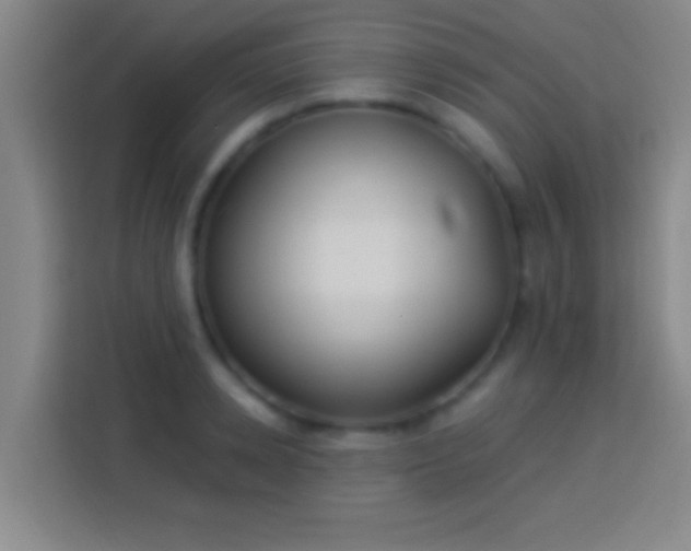 X0000113900942200910011340