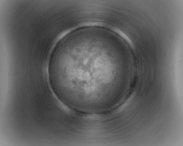 X0000113900943200910011340