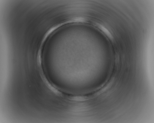 X0000113900944200910011340