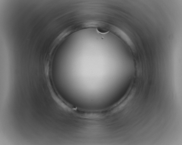 X0000113900946200910011340