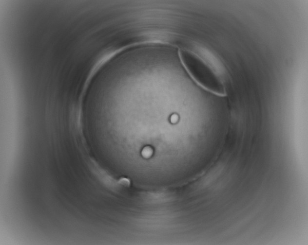 X0000113900948200910011340