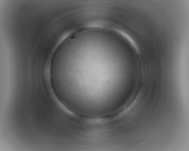 X0000113900949200910011340