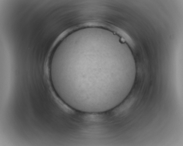 X0000113900950200910011340