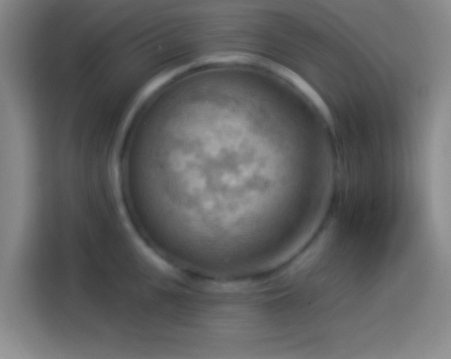 X0000113900951200910011340