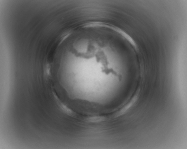 X0000113900953200910011340