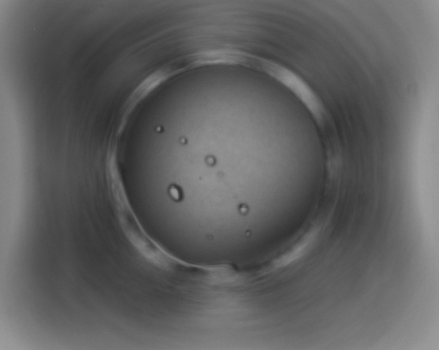 X0000113900954200910011340