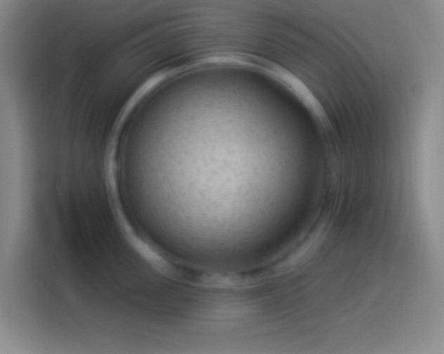 X0000113900955200910011340