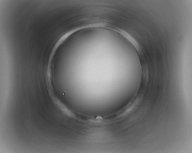 X0000113900956200910011340