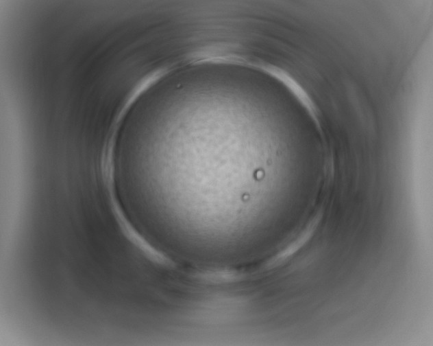 X0000113900957200910011340