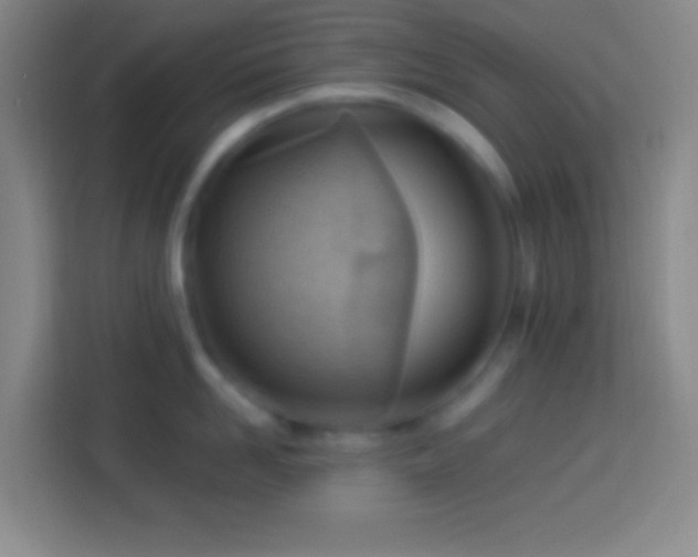 X0000113900958200910011340