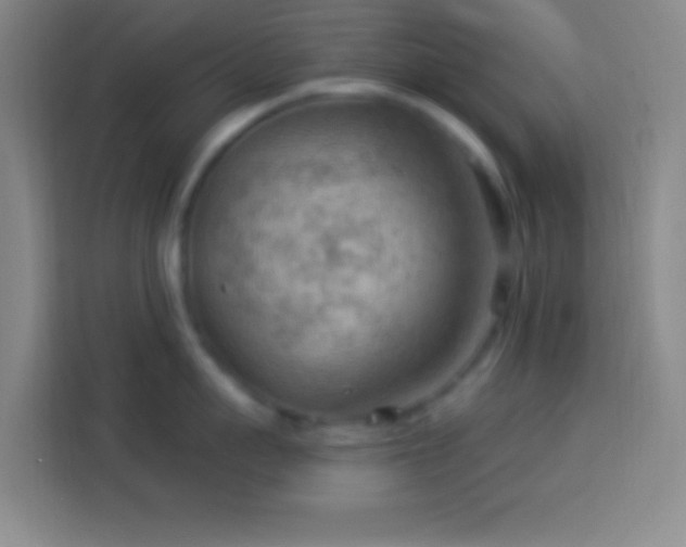 X0000113900959200910011340