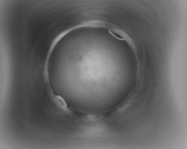 X0000113900960200910011340