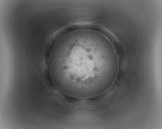 X0000113900966200910011339