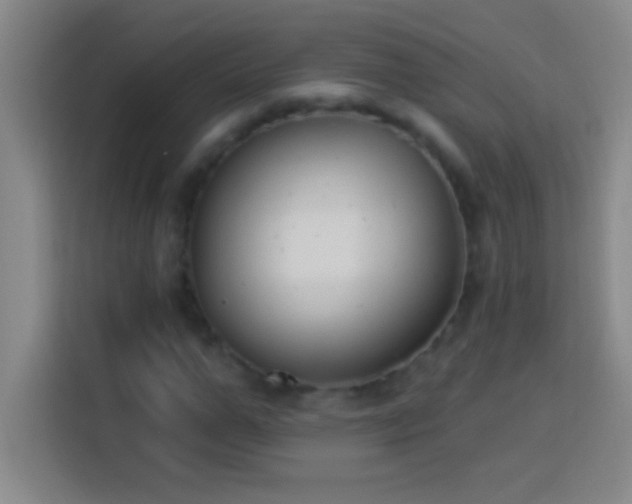 X0000113900967200910011339