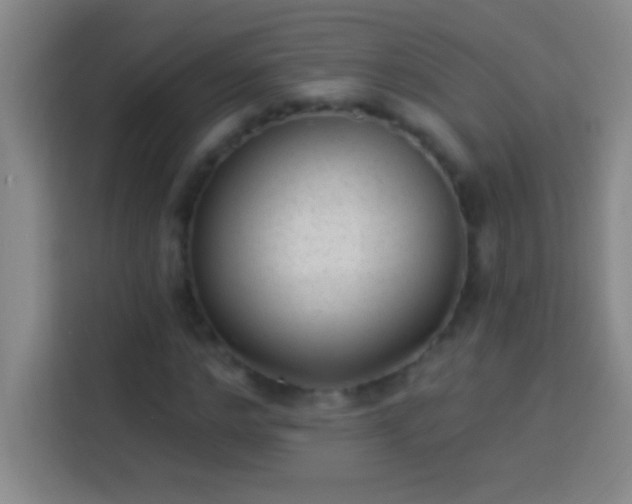 X0000113900968200910011339