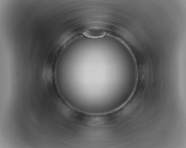 X0000113900969200910011339