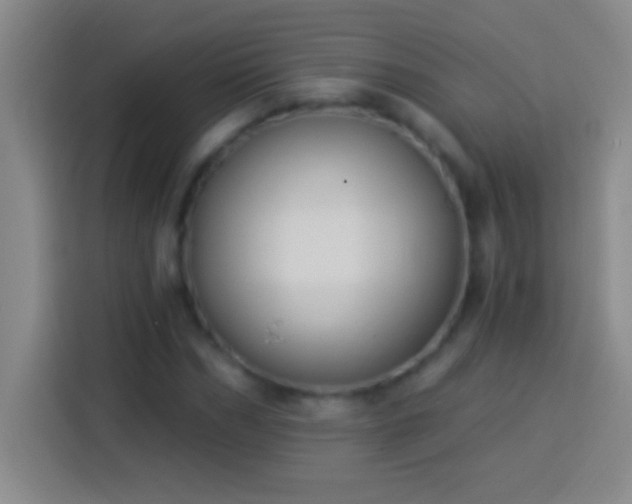 X0000113900970200910011339