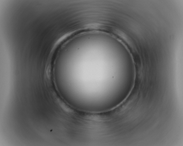 X0000113900971200910011339