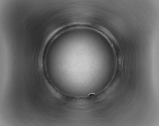 X0000113900972200910011339