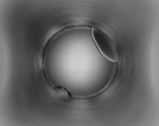 X0000113900973200910011339