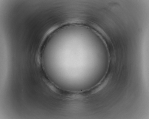 X0000113900974200910011339