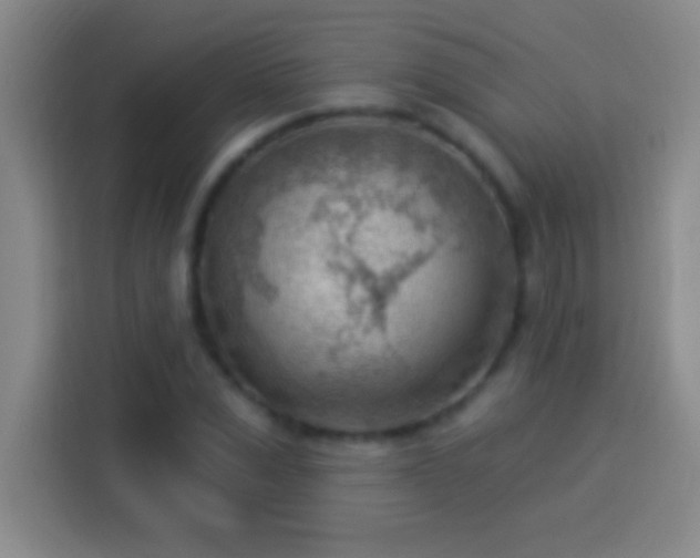 X0000113900975200910011339