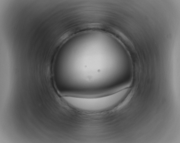 X0000113900977200910011339