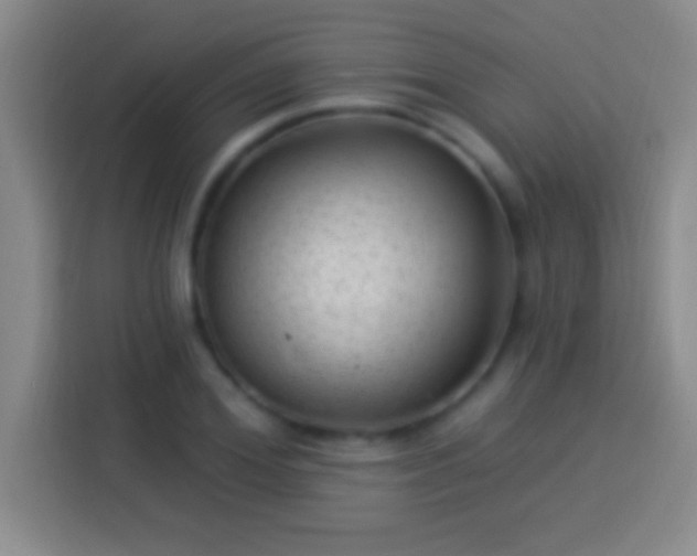 X0000113900980200910011339