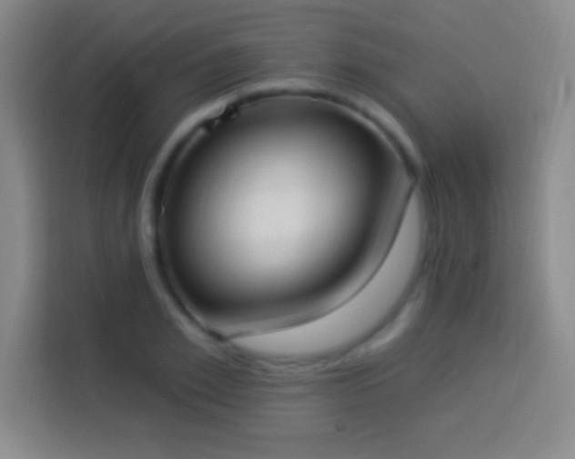 X0000113900981200910011339