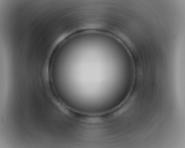 X0000113900982200910011339