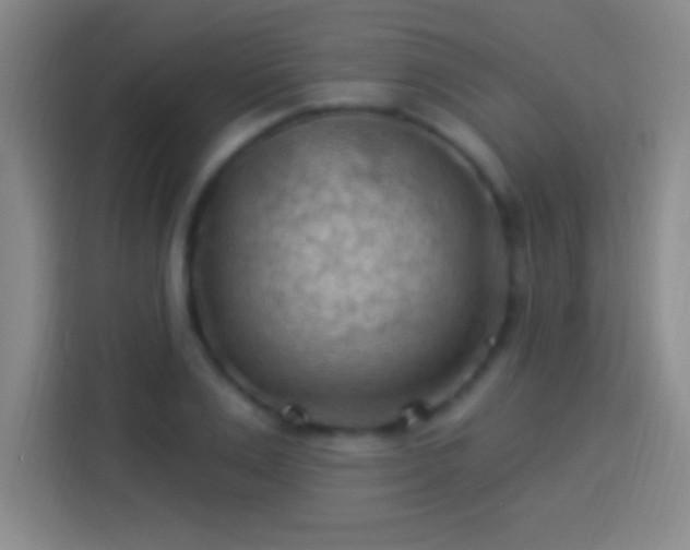 X0000113900983200910011339