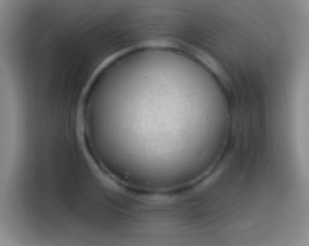 X0000113900984200910011339