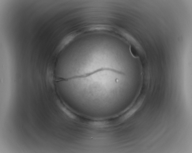 X0000113900985200910011339