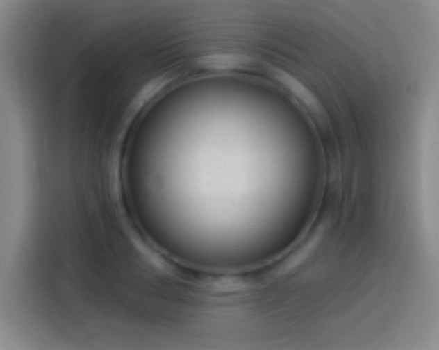 X0000113900986200910011339