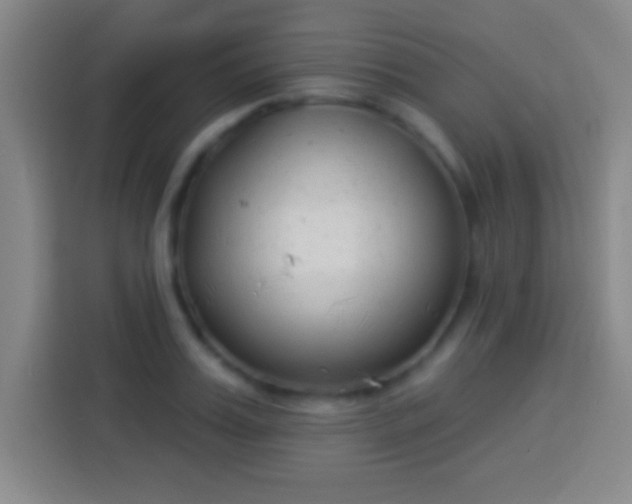 X0000113900987200910011339