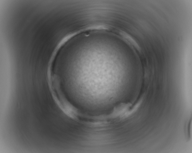 X0000113900989200910011339