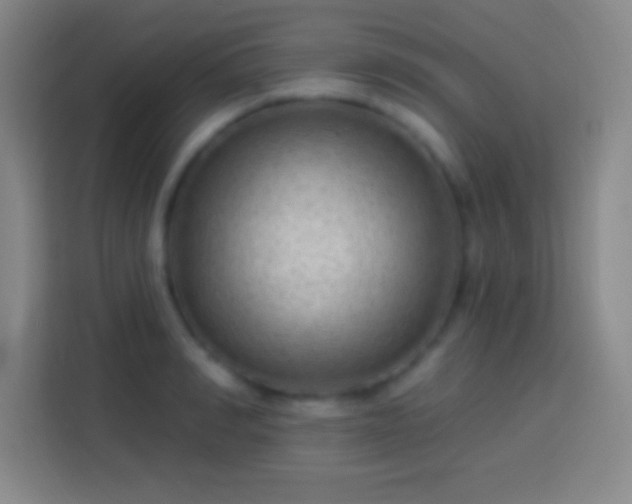 X0000113900990200910011339