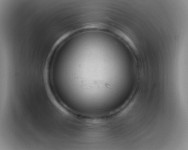 X0000113900991200910011339