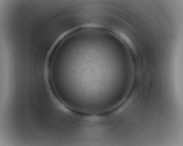 X0000113900992200910011339