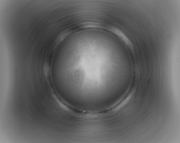 X0000113900993200910011339