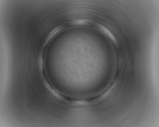 X0000113900994200910011339