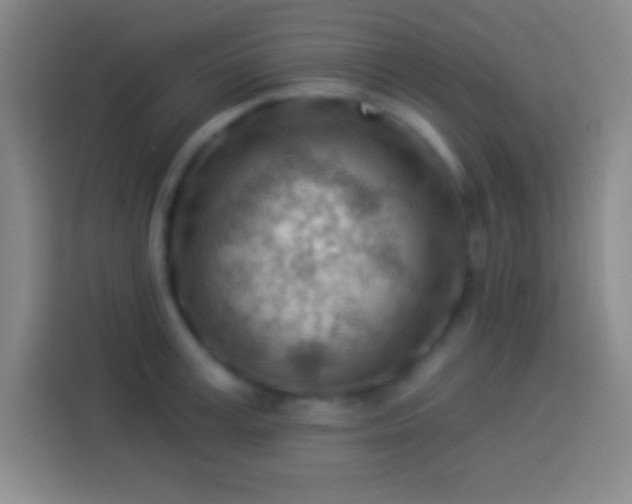 X0000113900995200910011339