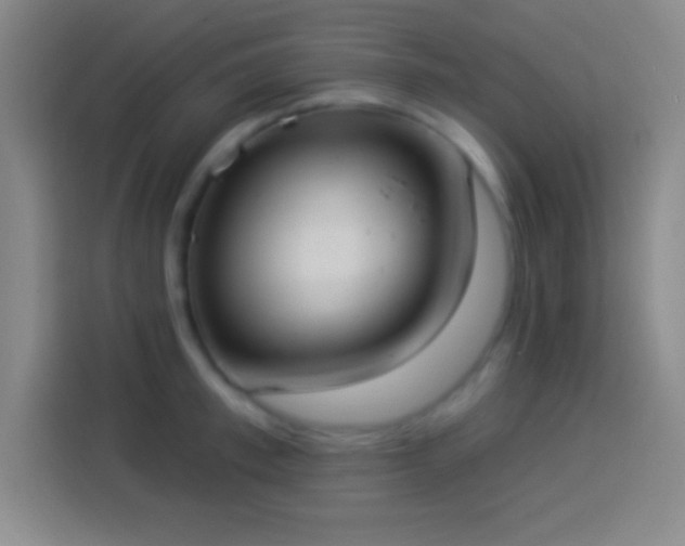 X0000113900997200910011339