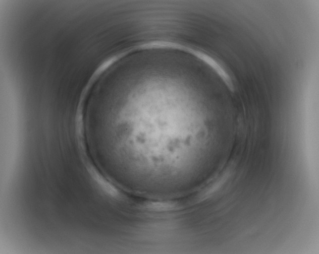 X0000113900998200910011339