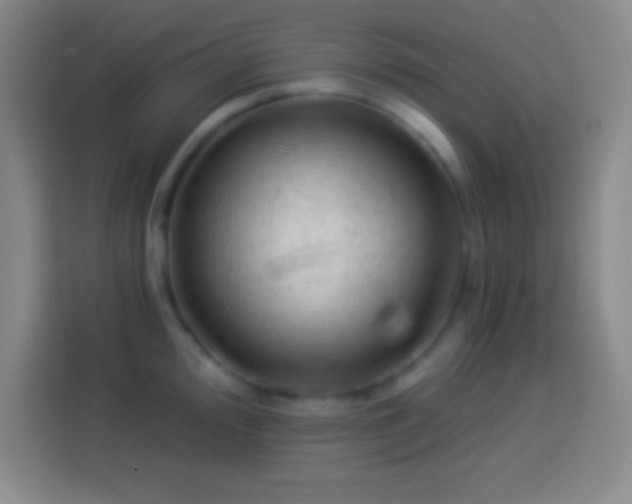 X0000113901000200910011339